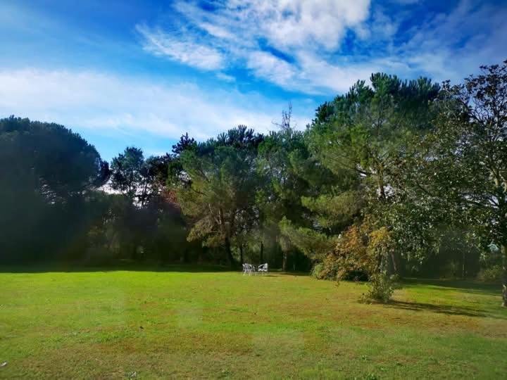 Apartamento Printemps Quatre Saisons Bergerac Exterior foto